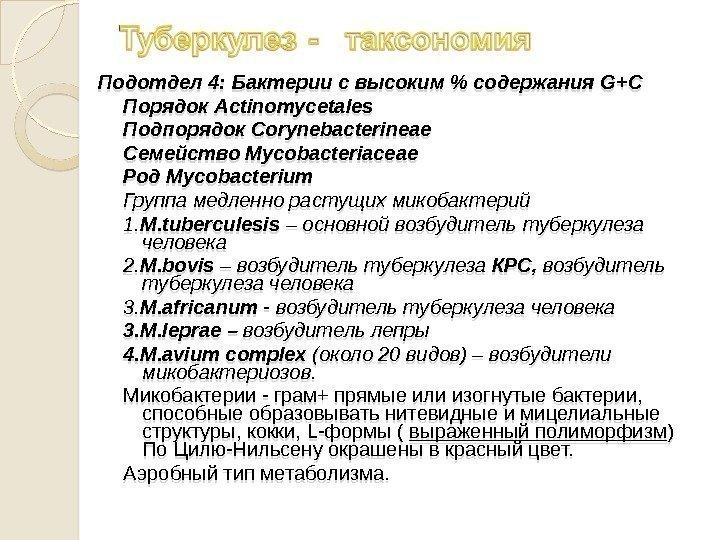 Подотдел 4: Бактерии с высоким  содержания G + C  Порядок Actinomycetales 