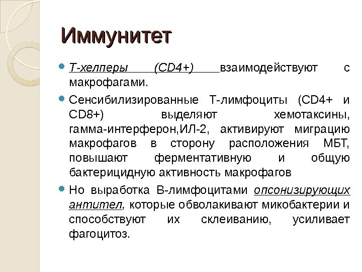 Иммунитет Т-хелперы (CD 4+) взаимодействуют с макрофагами.  Сенсибилизированные Т-лимфоциты (CD 4+ и CD