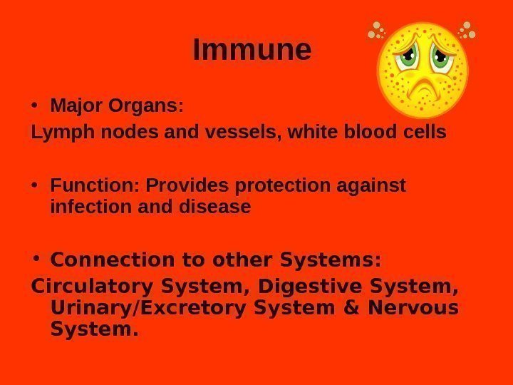 Immune  • Major Organs: Lymph nodes and vessels, white blood cells  •
