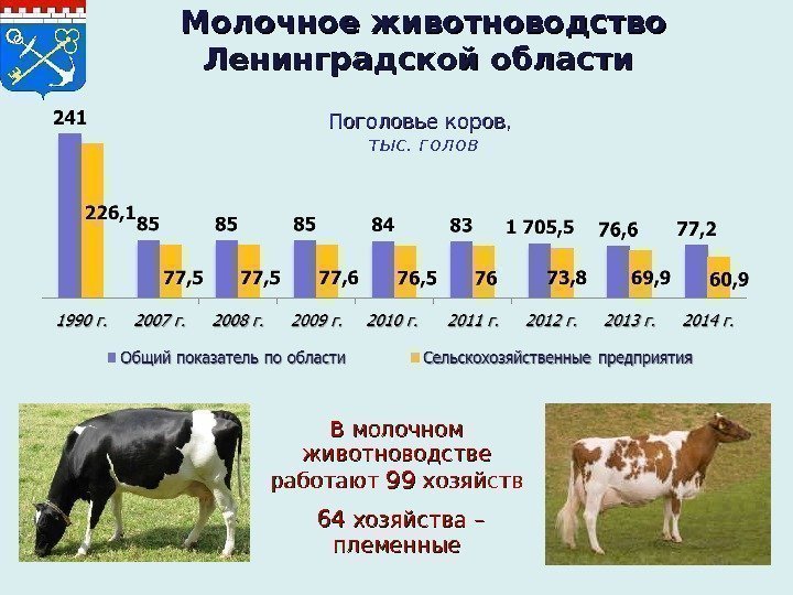   Молочное животноводство Ленинградской области Поголовье коров,  тыс. голов В молочном животноводстве