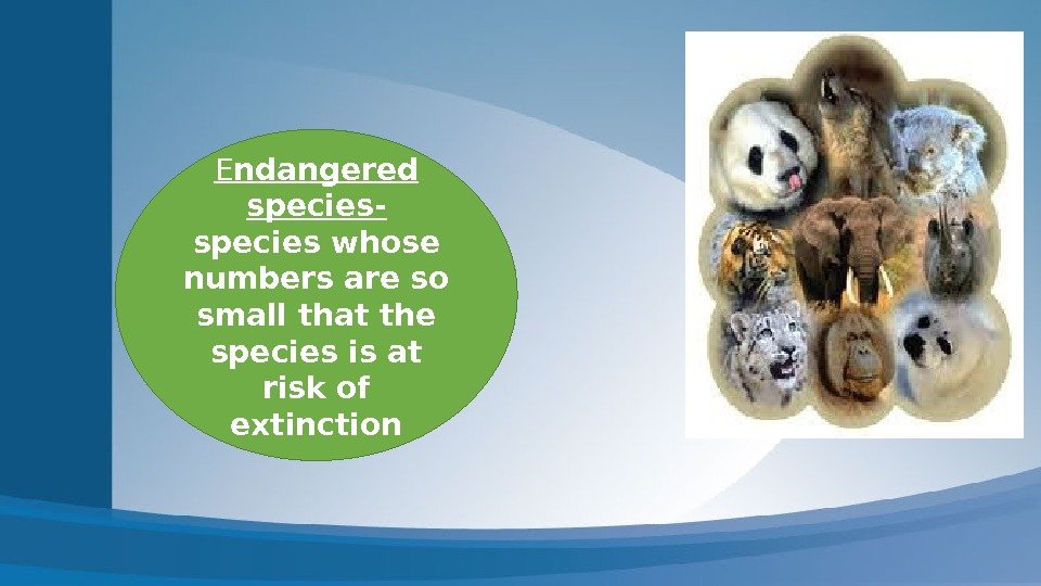 E ndangered species- species whose numbers are so small that the species is at
