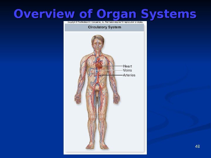 48 Overview of Organ Systems 