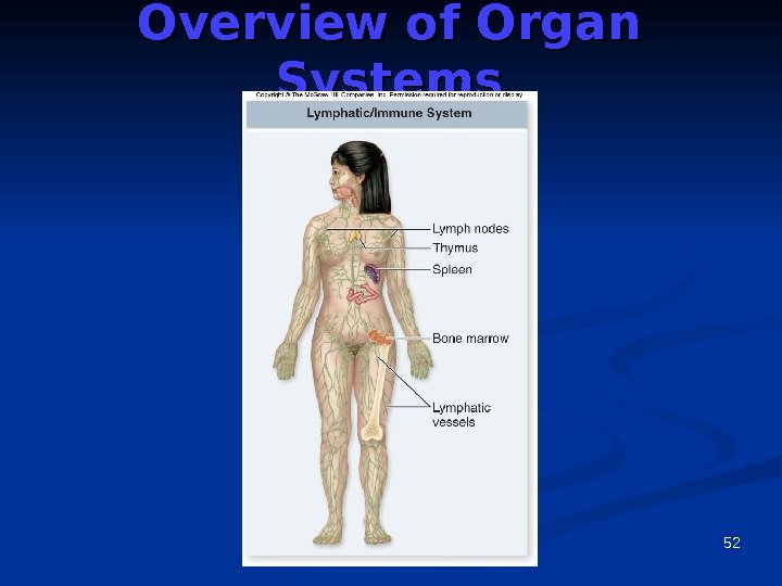 52 Overview of Organ Systems 