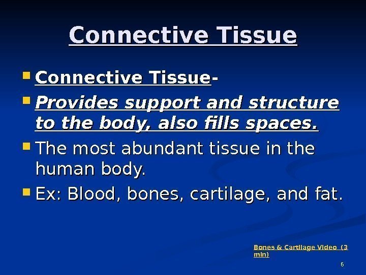 6 Connective Tissue - -  Provides support and structure to the body, also