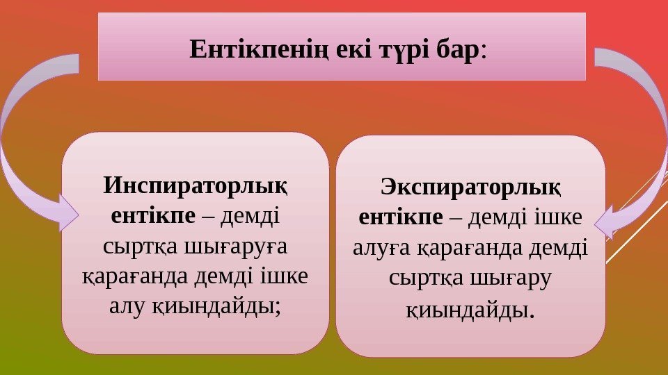 Ертегінің неше түрі бар