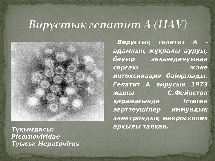 Презентация по гепатиту