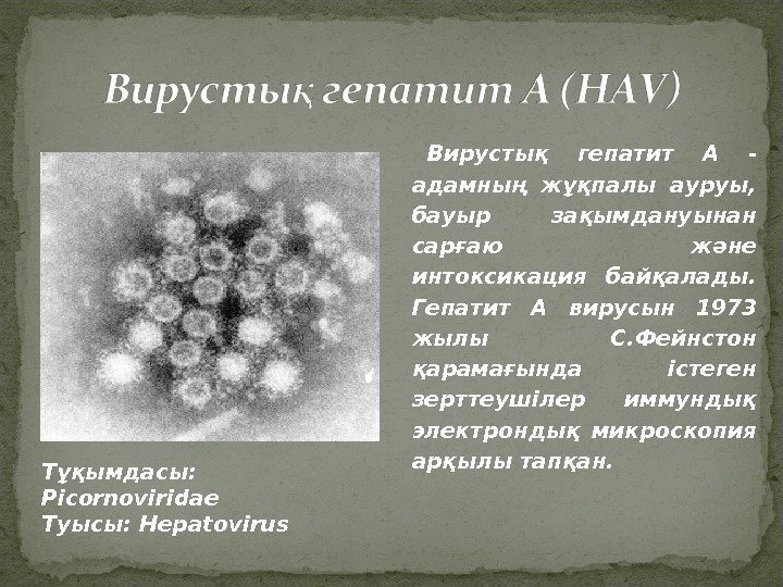 Вирустық гепатит А - адамның жұқпалы ауруы,  бауыр зақымдануынан сарғаю және интоксикация байқалады.