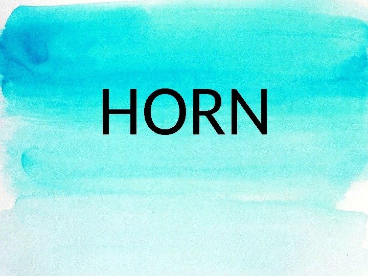 HORN 