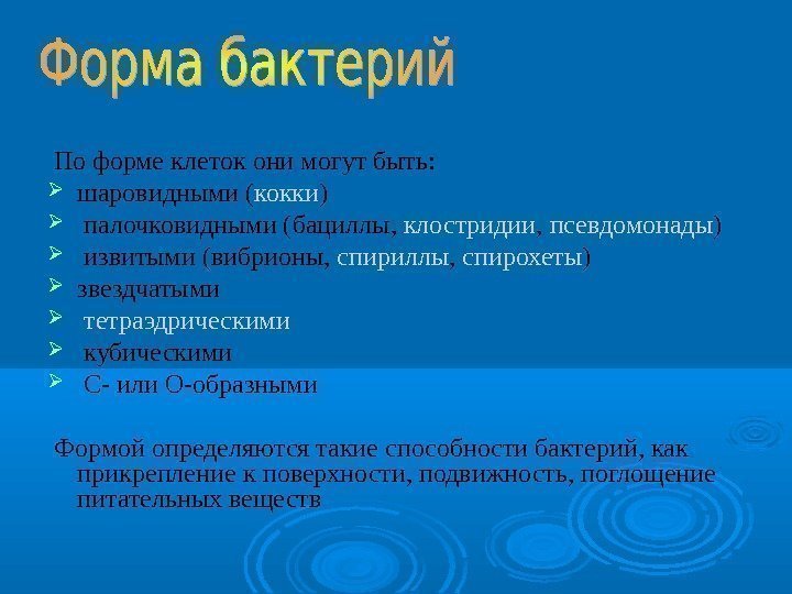 Бактерии древнейшая форма организмов проект 6 класс