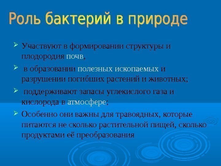 Бактерии древнейшая форма организмов проект 6 класс