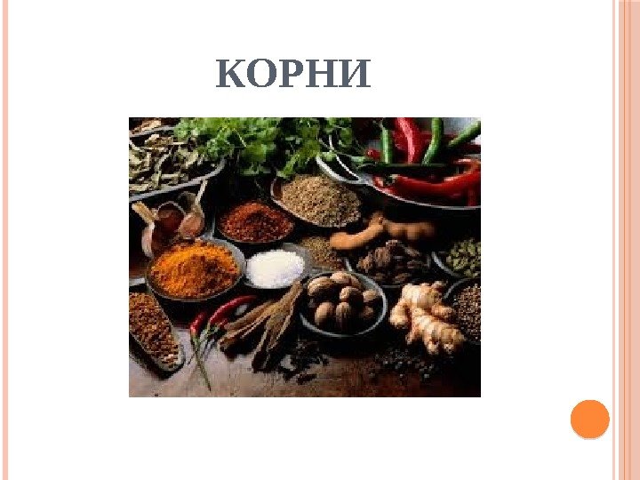 КОРНИ 