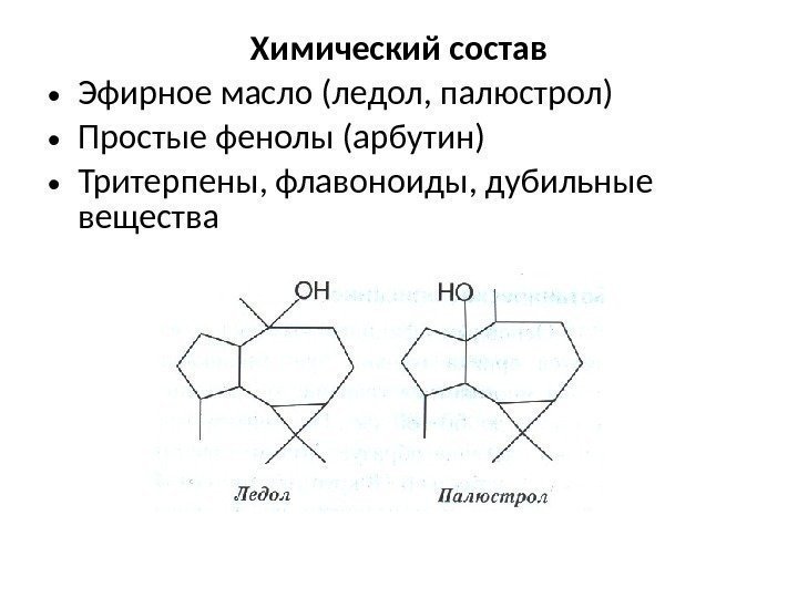 Химический состав • Эфирное масло (ледол, палюстрол) • Простые фенолы (арбутин) • Тритерпены, флавоноиды,
