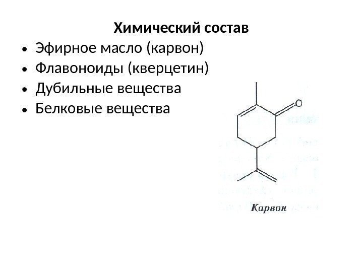 Химический состав • Эфирное масло (карвон) • Флавоноиды (кверцетин) • Дубильные вещества • Белковые