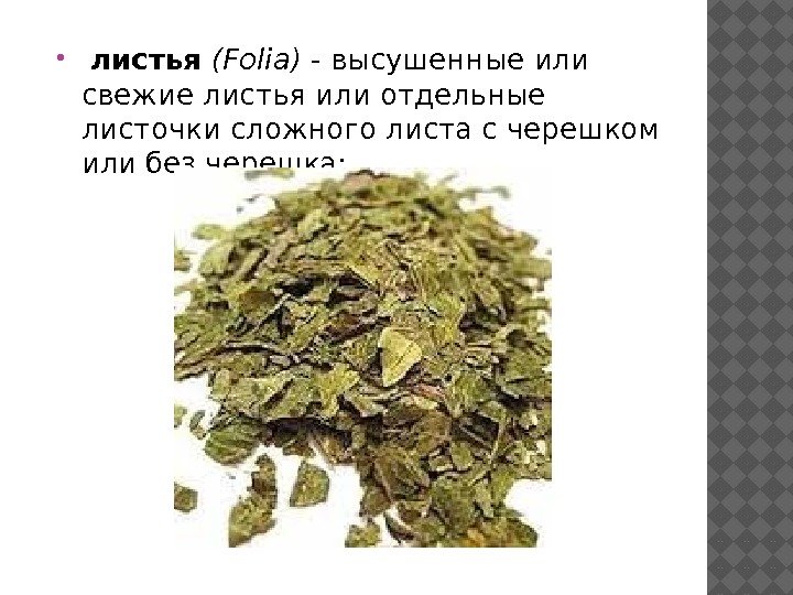  листья (Folia) - высушенные или свежие листья или отдельные листочки сложного листа с