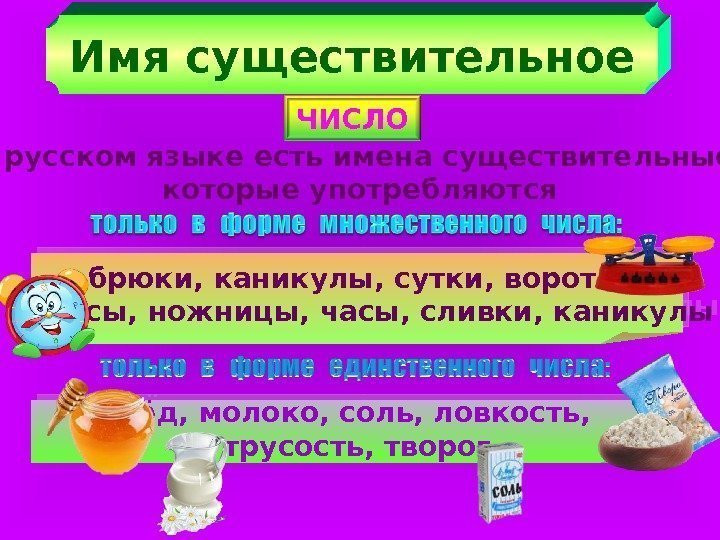 Имя существительное ЧИСЛО В русском языке есть имена существительные, которые употребляются брюки, каникулы, сутки,