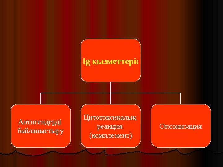 Ig ызметтері: қ Антигендерді байланыстыру Цитотоксикалы  қ реакция (комплемент) Опсонизация 