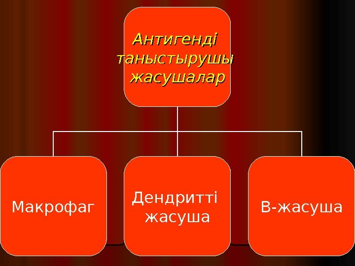 Антигенді таныстырушы жасушалар Макрофаг Дендритті жасуша В - жасуша 