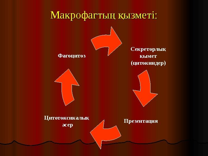 Макрофагты  ызметі: ң қ Секреторлы  қ ымет қ (цитокиндер)  Презентация. Фагоцитоз