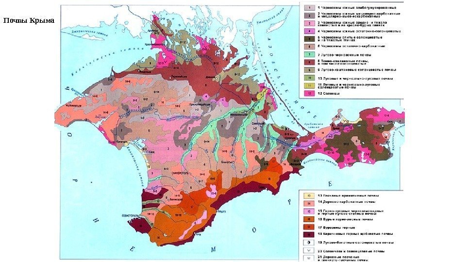 Почвы Крыма 