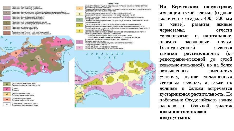 На Керченском полуострове ,  имеющем сухой климат (годовое количество осадков 400— 300 мм