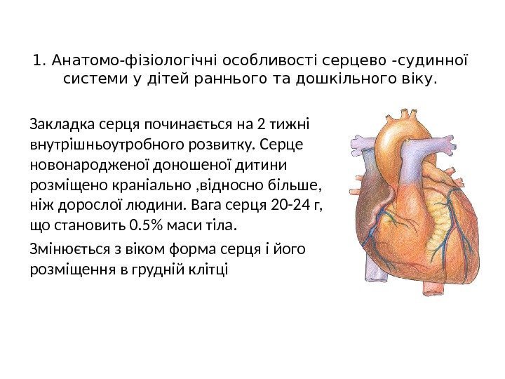 1. Анатомо-фізіологічні особливості серцево -судинної системи у дітей раннього та дошкільного віку. Закладка серця