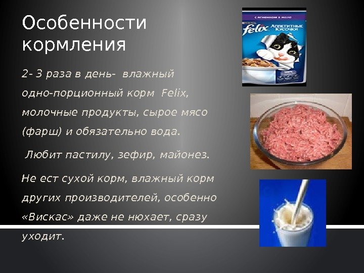 Особенности кормления 2 - 3 раза в день- влажный одно-порционный корм Felix,  молочные