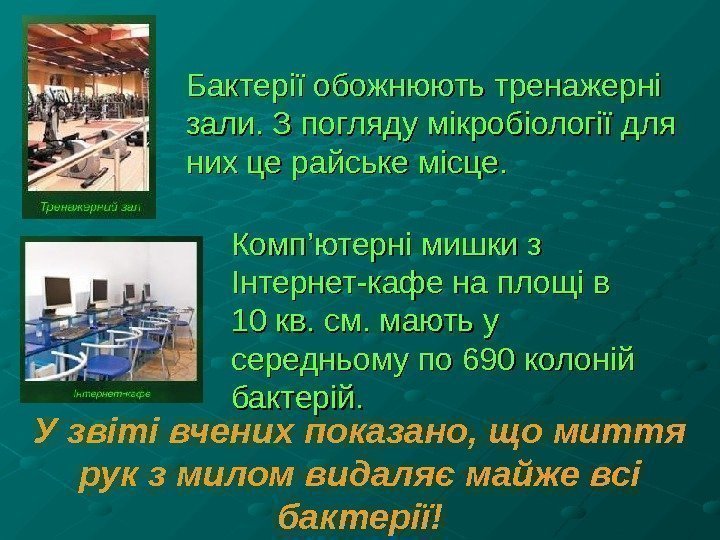 Бактерії обожнюють тренажерні зали. З погляду мікробіології для них це райське місце. Комп’ютерні мишки