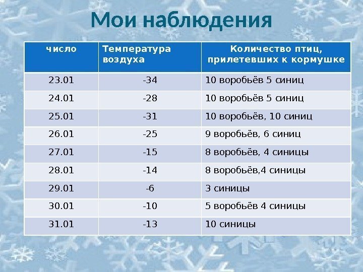 Мои наблюдения число Температура воздуха Количество птиц,  прилетевших к кормушке 23. 01 -34