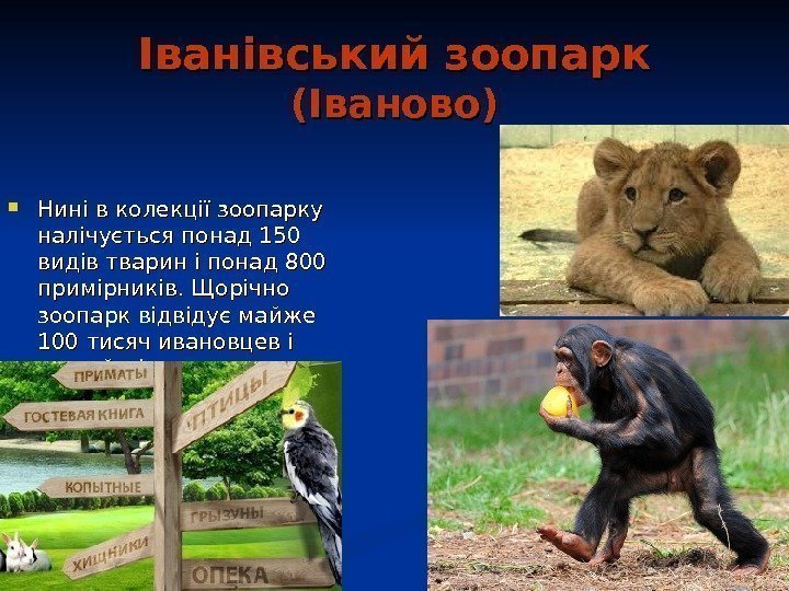   Іванівський зоопарк  (Іваново) Нині в колекції зоопарку налічується понад 150 видів