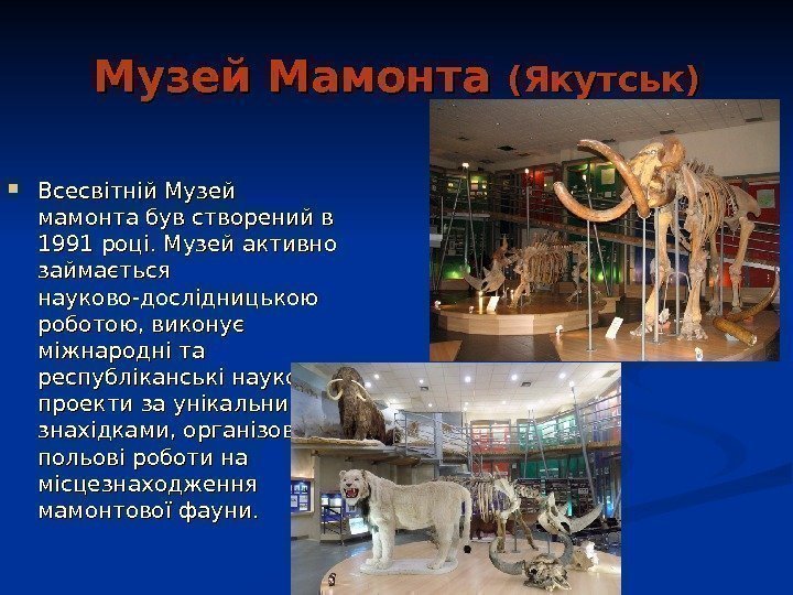   Музей Мамонта (Якутськ) Всесвітній Музей мамонта був створений в 1991 році. Музей