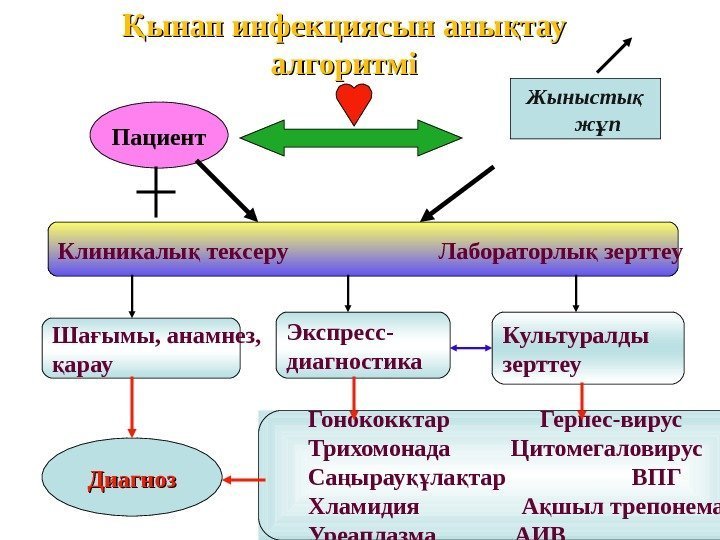 Пациент Жынысты қ ж п ұ Клиникалы тексеру     Лабораторлы зерттеу