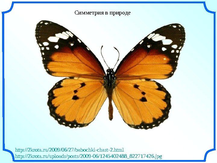   Симметрия в природе http: //2 krota. ru/2009/06/27/babochki-chast-2. html http: //2 krota. ru/