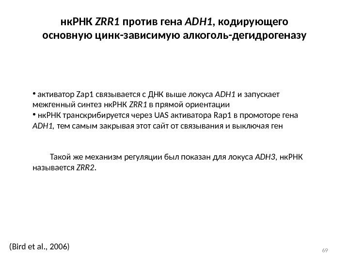 69(Bird et al. , 2006) нк. РНК ZRR 1 против гена ADH 1 ,