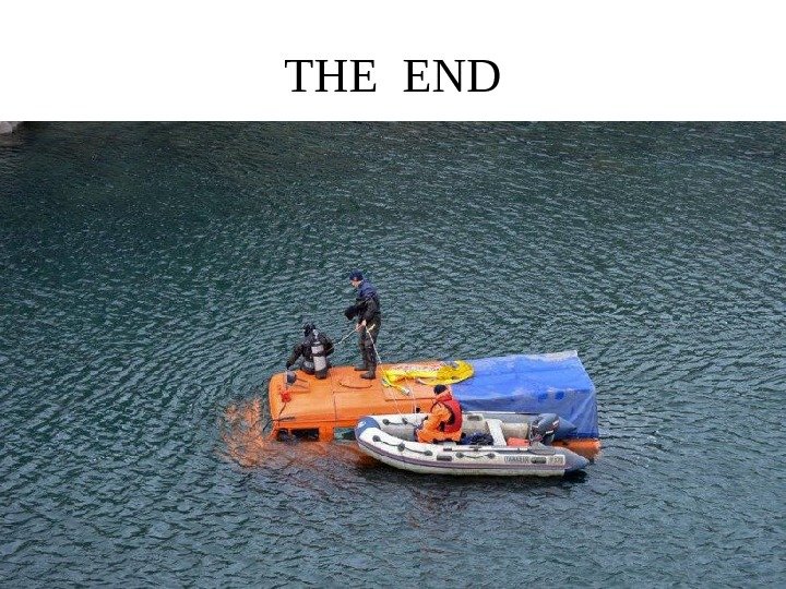 THE END 