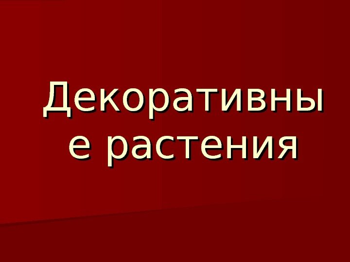  Декоративны е растения 