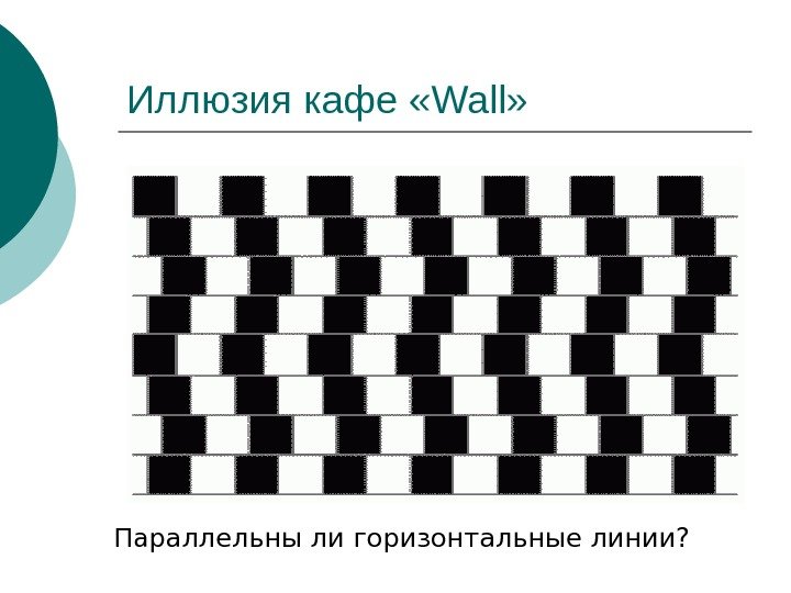   Иллюзия кафе « Wall » Параллельны ли горизонтальные линии? 