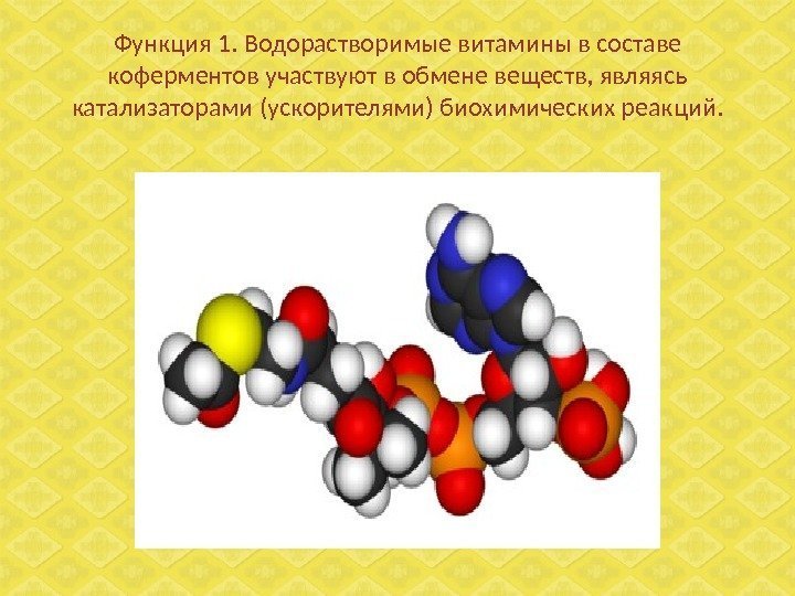 Функция 1. Водорастворимые витамины в составе коферментов участвуют в обмене веществ, являясь катализаторами (ускорителями)