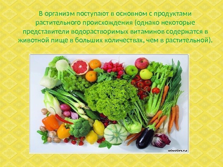 В организм поступают в основном с продуктами растительного происхождения (однако некоторые представители водорастворимых витаминов