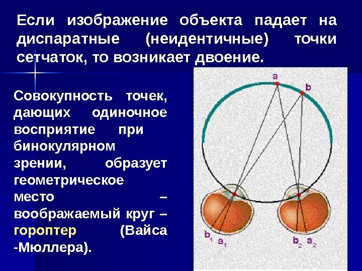 Что такое идентичные и диспаратные точки сетчатки каково их значение в восприятии изображения