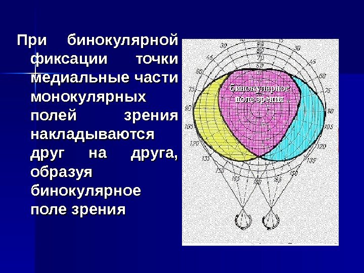 Что такое идентичные и диспаратные точки сетчатки каково их значение в восприятии изображения