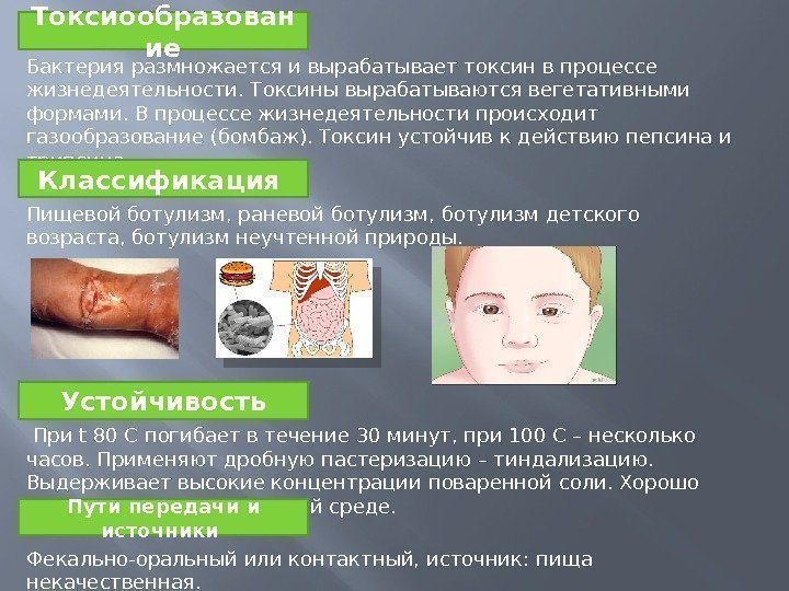 Токсиообразован ие Бактерия размножается и вырабатывает токсин в процессе жизнедеятельности. Токсины вырабатываются вегетативными формами.