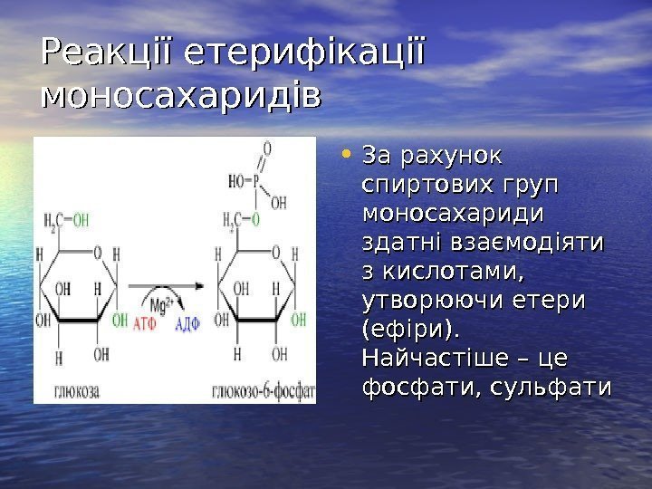   Реакції етерифікації моносахаридів  • За рахунок спиртових груп моносахариди здатні взаємодіяти
