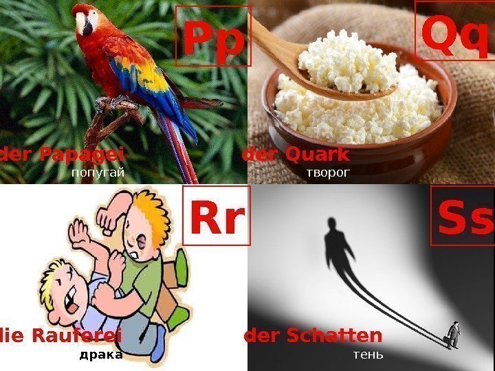 P Pp Qq Rr Ss der Papagei попугай der Quark творог die Rauferei драка