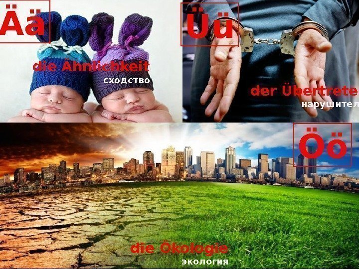 die Ähnlichkeit сходство Ää Öö die Ökologie экология Üü der Übertreter нарушитель  