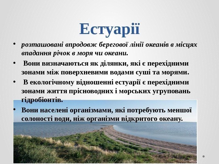 Естуарії • розташовані впродовж берегової лінії океанів в місцях впадання річок в моря чи