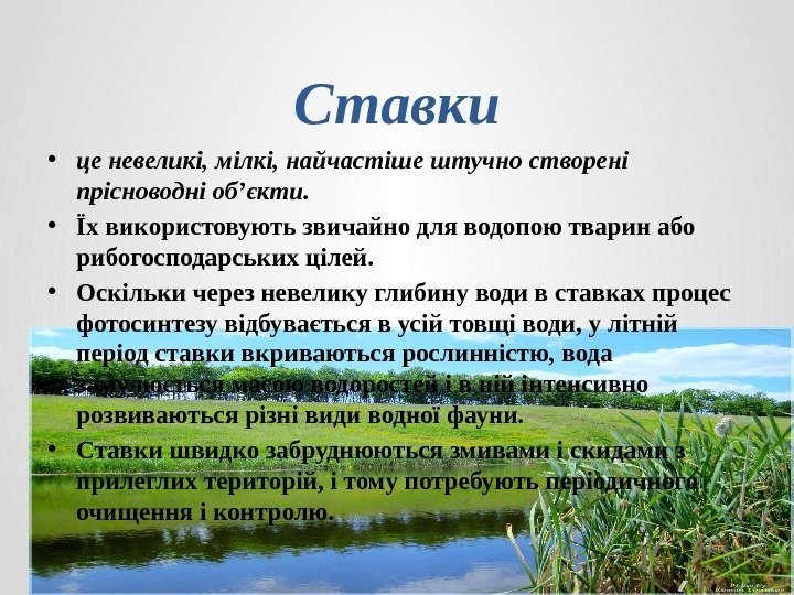 Ставки • це невеликі, мілкі, найчастіше штучно створені прісноводні об’єкти.  • Їх використовують