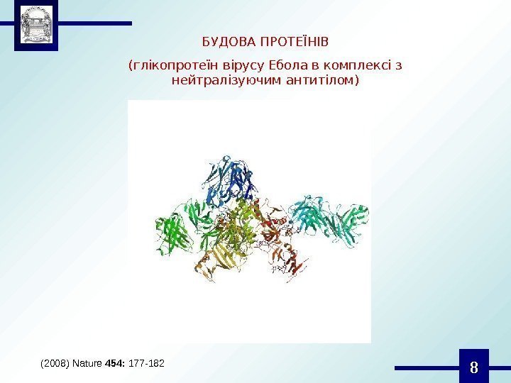 8 БУДОВА ПРОТЕЇНІВ (глікопротеїн вірусу Ебола в комплексі з нейтралізуючим антитілом) (2008)Nature 454: 