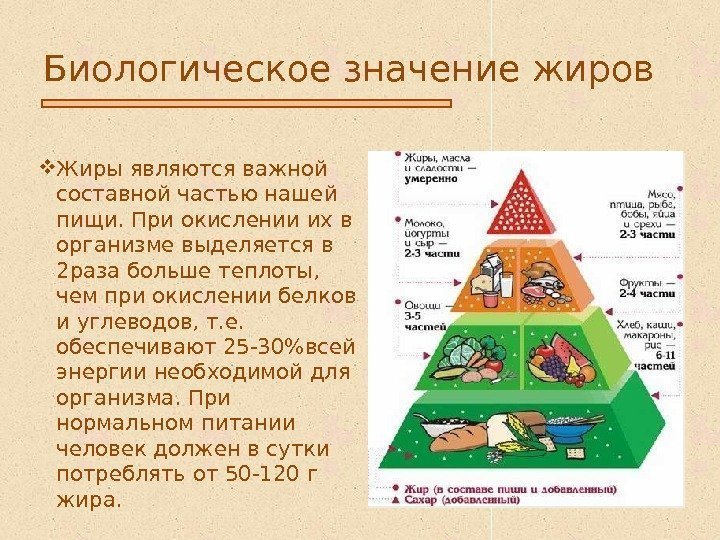 Биологическое значение жиров Жиры являются важной составной частью нашей пищи. При окислении их в