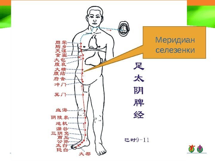 Массаж живота гуаша схема выполнения