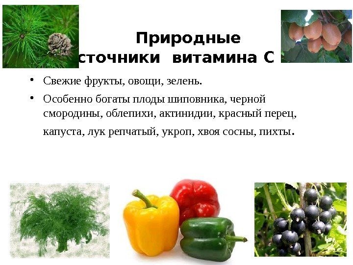 Природные источники витамина С • Свежие фрукты, овощи, зелень.  • Особенно богаты плоды